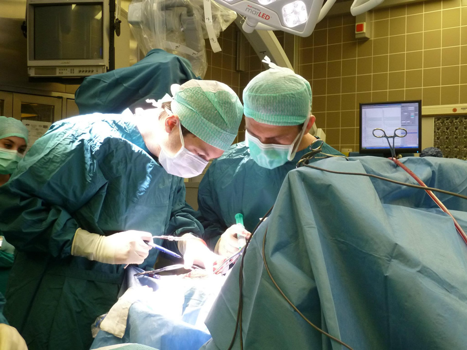 Specijalista neurohirurg tretira hernije diskova i degenerativne bolesti kičme Specijalista neurohirurg tretira hernije diskova i degenerativne bolesti kičme