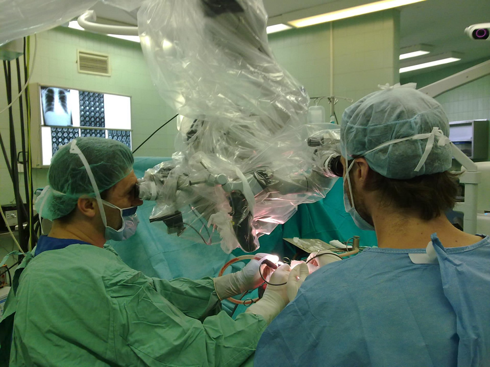 Neurohirurg Sarajevo - Tumori mozga i kičmene moždine Neurohirurg Sarajevo - Tumori mozga i kičmene moždine