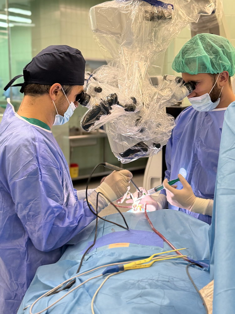 Dr. Omerhodžić - Specijalista neurohirurg u Sarajevu, Bosna i Hercegovina Dr. Omerhodžić - Specijalista neurohirurg u Sarajevu, Bosna i Hercegovina